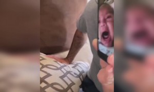 જ્યારે બાળકે પોતાને જ વિડીઓમાં રોતા જોઈ વિચારમાં પડી ગયું