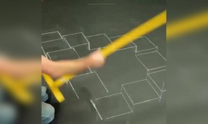 જુઓ કેવી રીતે બનાવી 3D પેઇન્ટિંગ