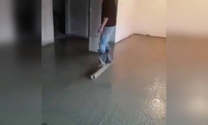 છેને ટેલેન્ટેડ આ કડિયો