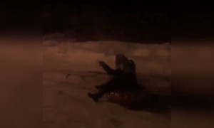 બર્ફમાં મજાક મસ્તી આ કપલને પડી ગઈ ભારે