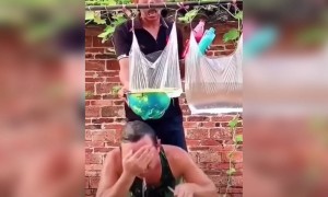 એક કરતા એક વધે