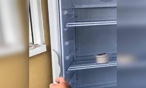 આ કેવી મજાક