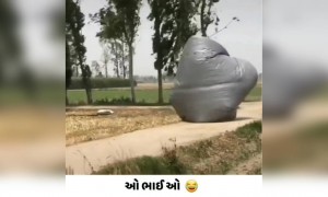 આને મોંઘવારી ન નડે
