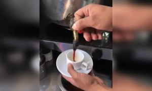 ચાપ્રેમીઓ માટે ખાશ: મલાઈ વાળી ચા