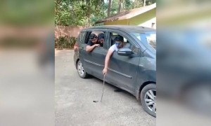 ગાંડાના ગામ હોય?