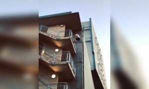 કોણ પહેલા ઉતરશે જુઓ.