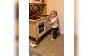 ગીત વાગતાજ બાળકને ચડ્યું તાન