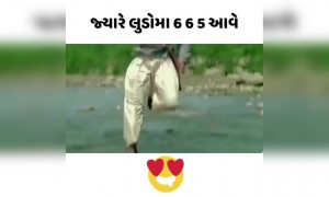ક્યારે લુડોમાં છ છ પાંચ પડે ત્યારે
