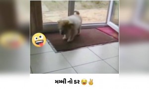મમ્મીનો ખોફતો જુઓ તમે🤣