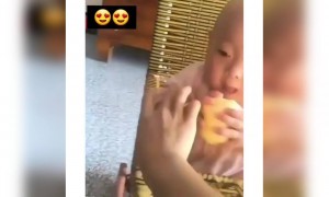 બાળકોના ક્યૂટ, ફની વિડિઓ