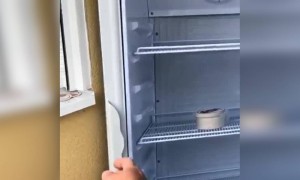 આ કેવી મજાક😂