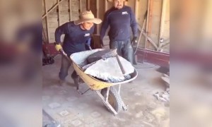 ઓ ભાઈ... ઓં ધીમે..ધીમે....