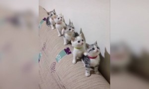 ઘરમાં ઘર ઓસરીમાં નળ અને છોકરા લાઈનસર...