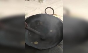 પાણી પુરીની પુરી