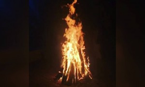 હેપ્પી હોળી,....