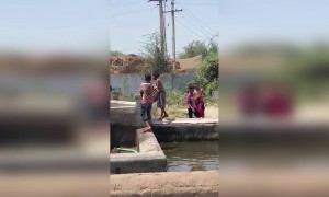 હોળી મુબારક