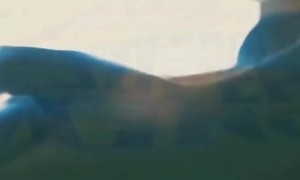 મહેન્દ્રસિંહ ધોનીનો જન્મદિવસ 3