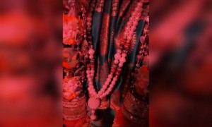 આપને અને આપના પરિવારને અષાઢી બીજની હાર્દિક શુભકામનાઓ