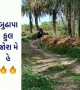 કાકા જુવાનિયાઓને પાછા પડે એમ છે