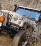 શેર કરો jeep લવરને