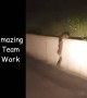 અમેઝિંગ ટીમ વર્ક
