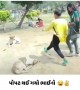 ભાઈના સીન વિખાઈ ગયા