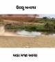 ચાલાક હરણ
