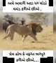 પ્રેમ હોય કે નફરત ભરપૂર કરીયે...