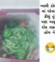 ખાલી શાકભાજી ધોવાનું કહ્યું હતું