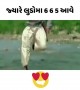 ક્યારે લુડોમાં છ છ પાંચ પડે ત્યારે