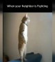 ક્યારે પાડોશીના ઘરમાં ઝઘડો થાય ત્યારે...